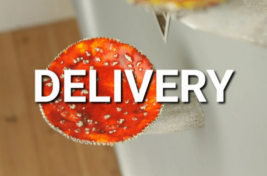 Re-delivery, Personalization, Additional Order Changes, Delivery to New Address, Changed Delivery Address