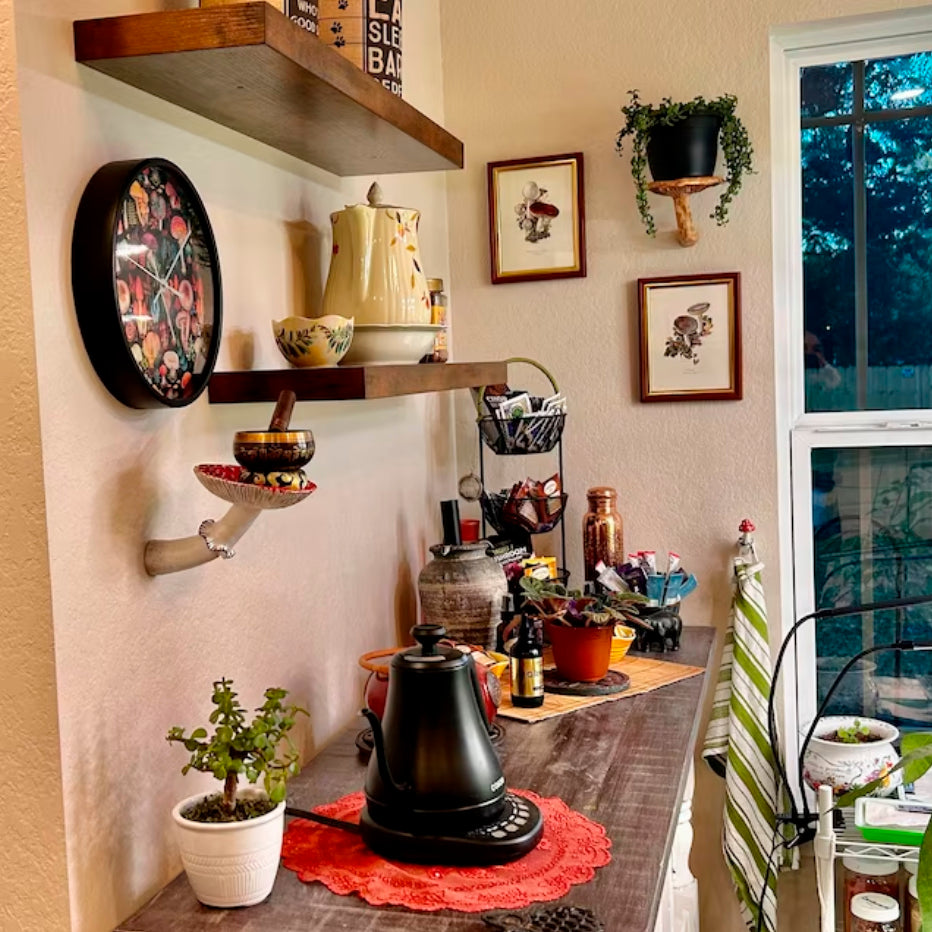 Mushroom shelves hang on a wall in a client's home. This is a photo from a review from an Etsy store. A man bought a brown mushroom shelf as a gift for his wife. He gave it for her birthday and she was so happy! She came back to us and bought an amanita shelf and a fly agaric hook as well. We are happy when clients come to us again and again!