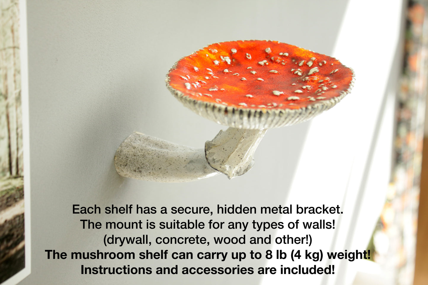 Amanita mushroom wall shelf