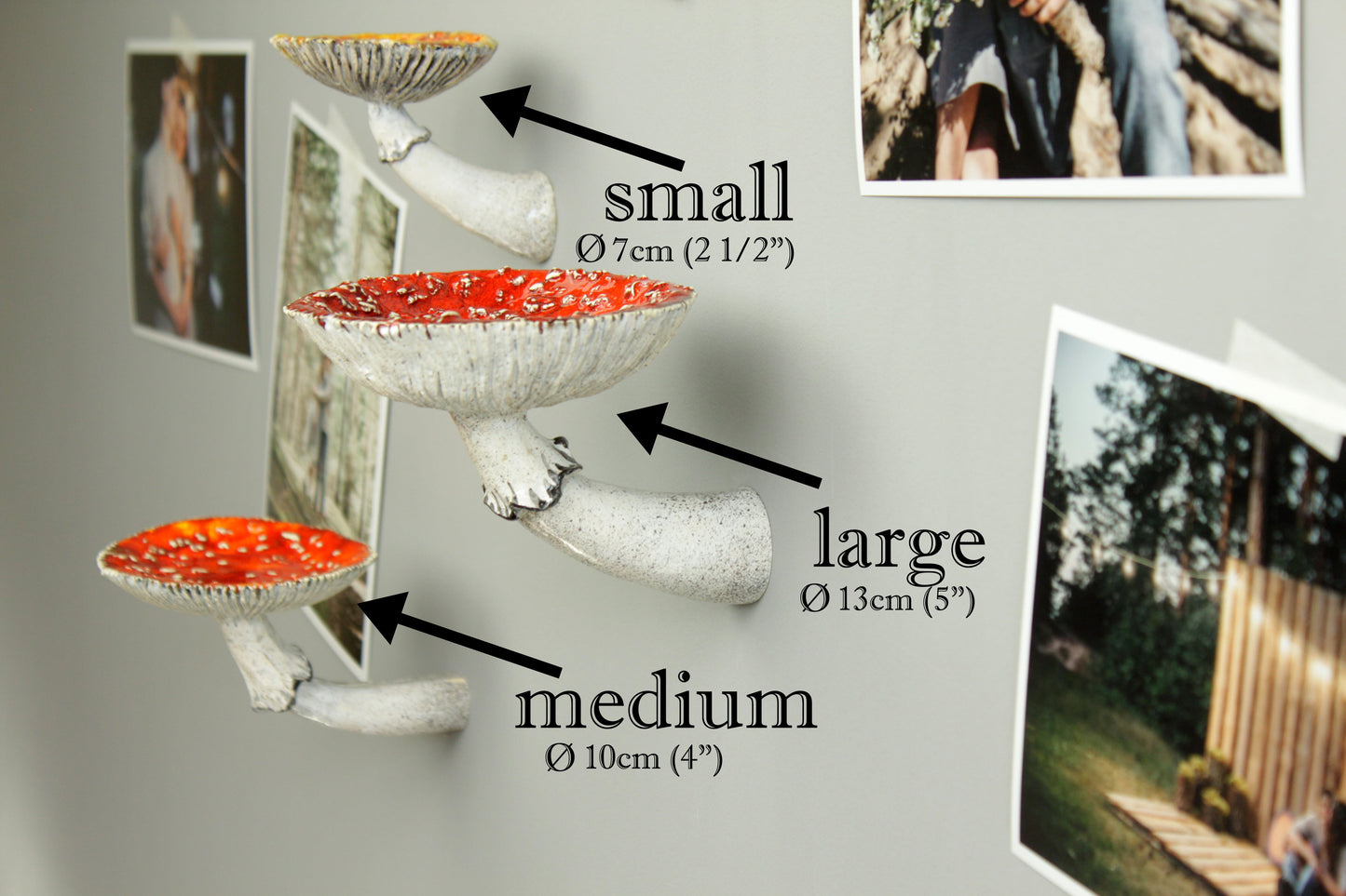 Amanita mushroom wall shelf