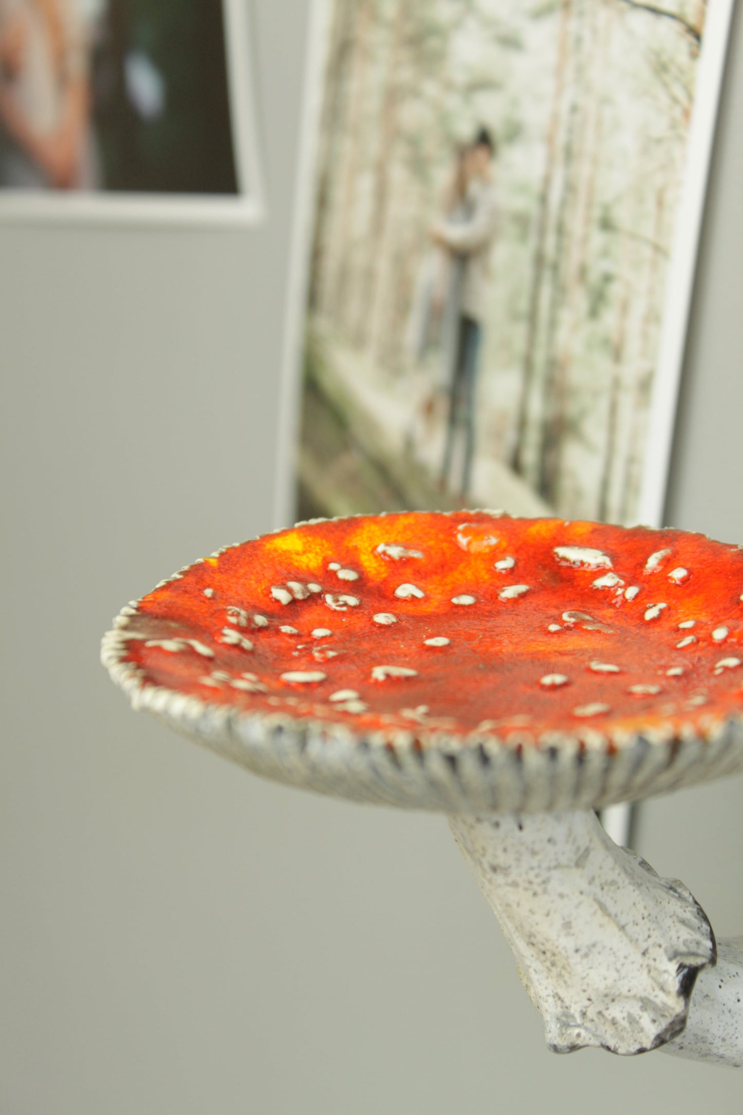 Amanita mushroom wall shelf
