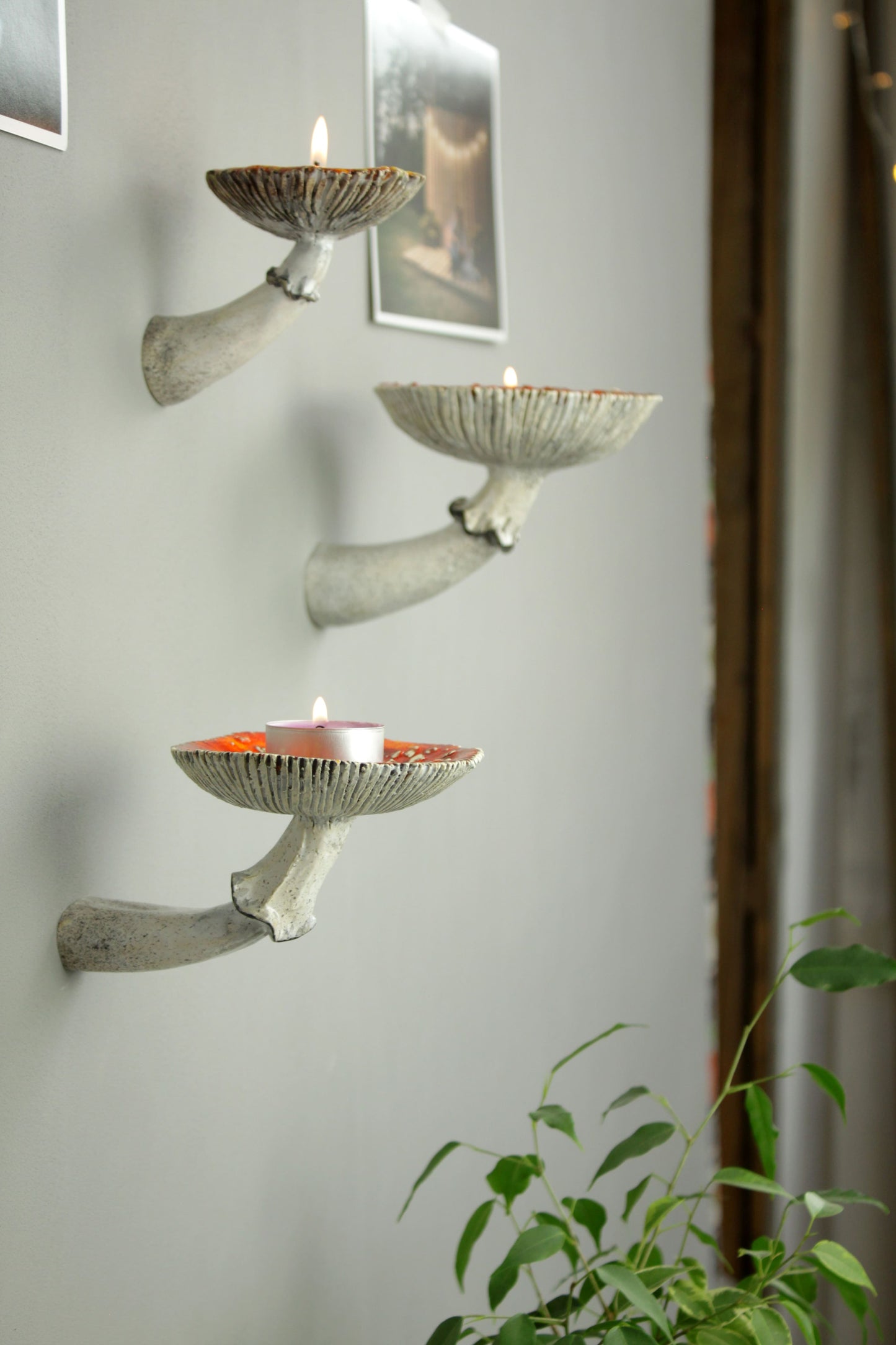 Amanita mushroom wall shelf