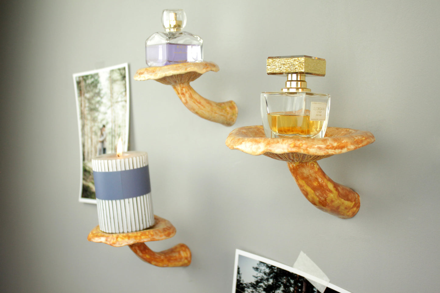 Mushroom hanging shelf