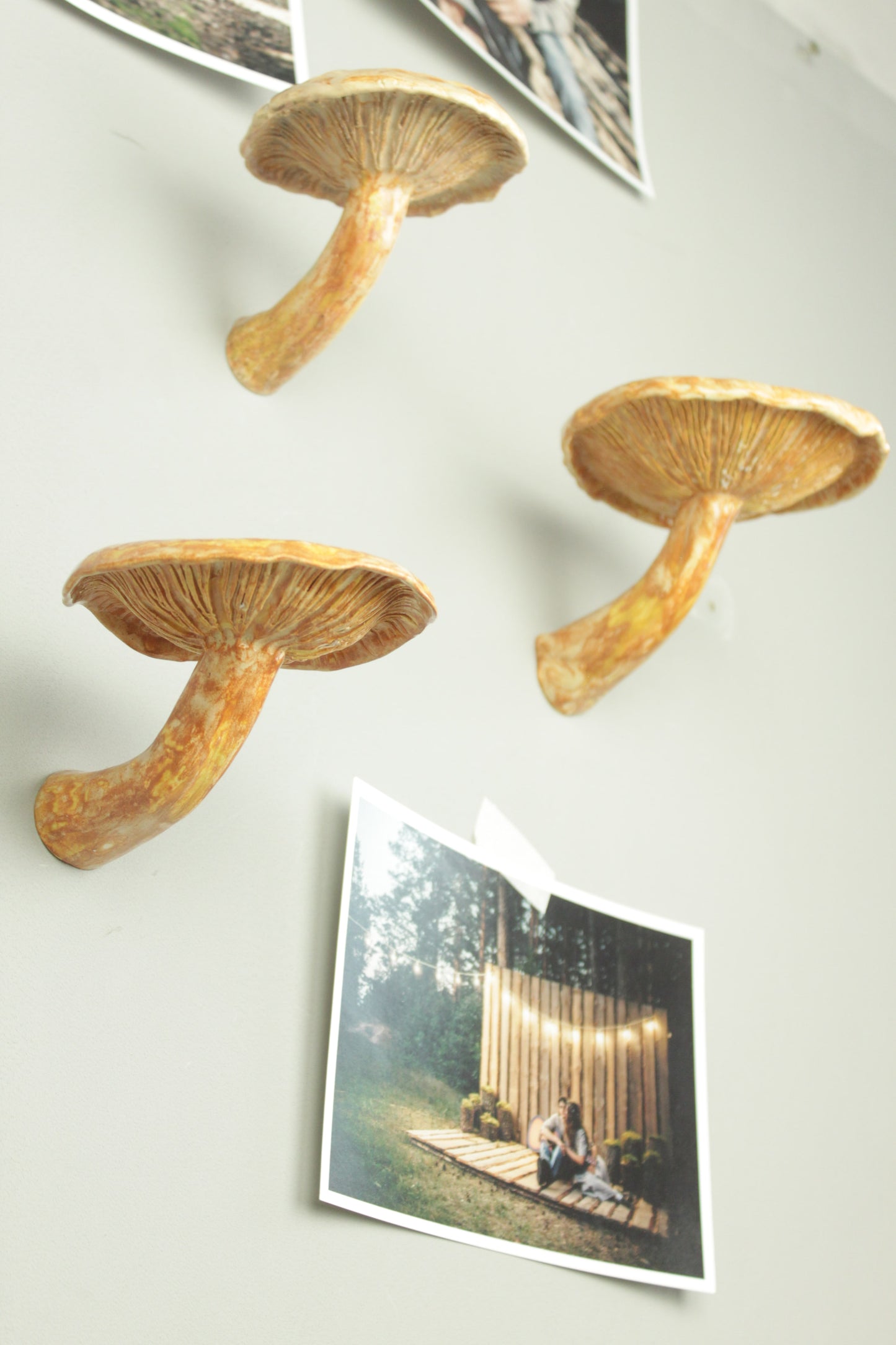 Mushroom hanging shelf
