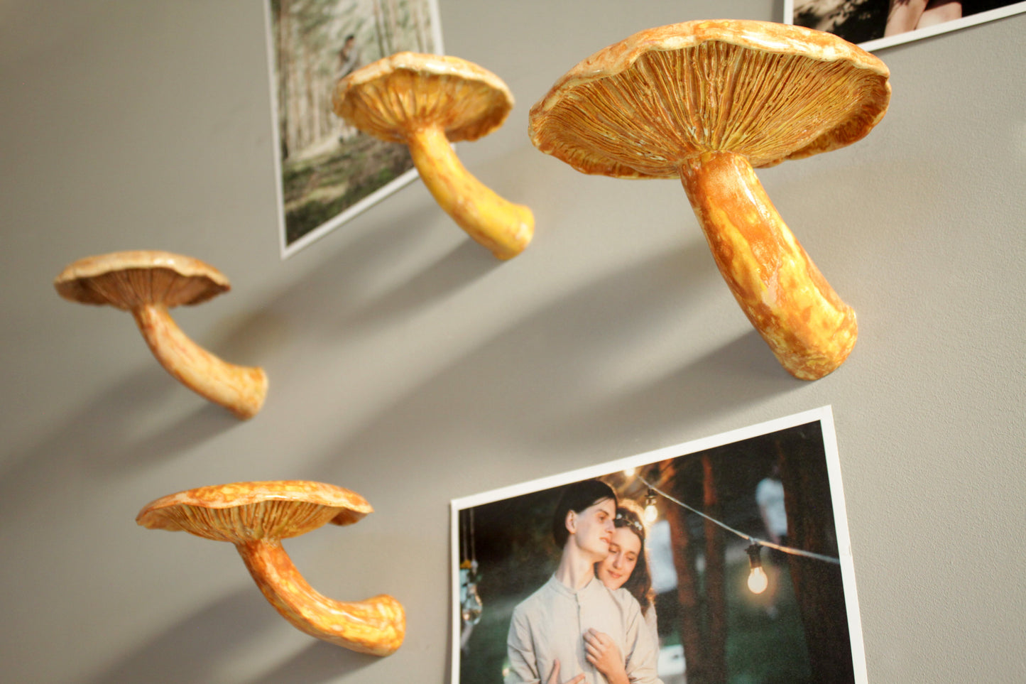 Mushroom hanging shelf