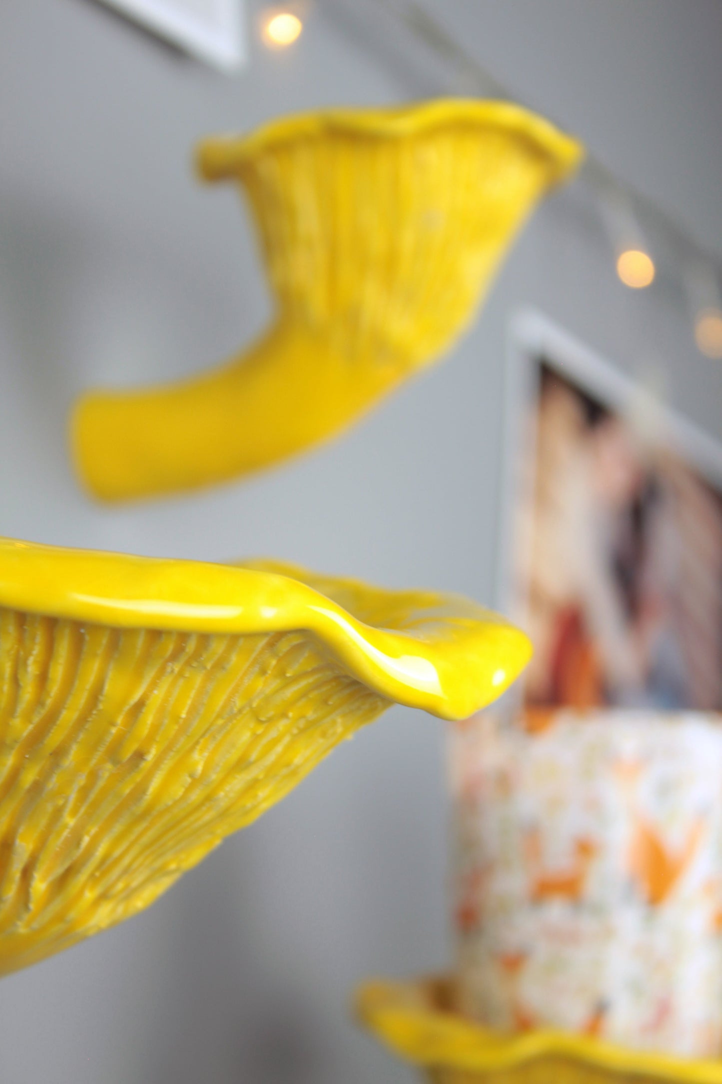 Сhanterelle mushroom shelf