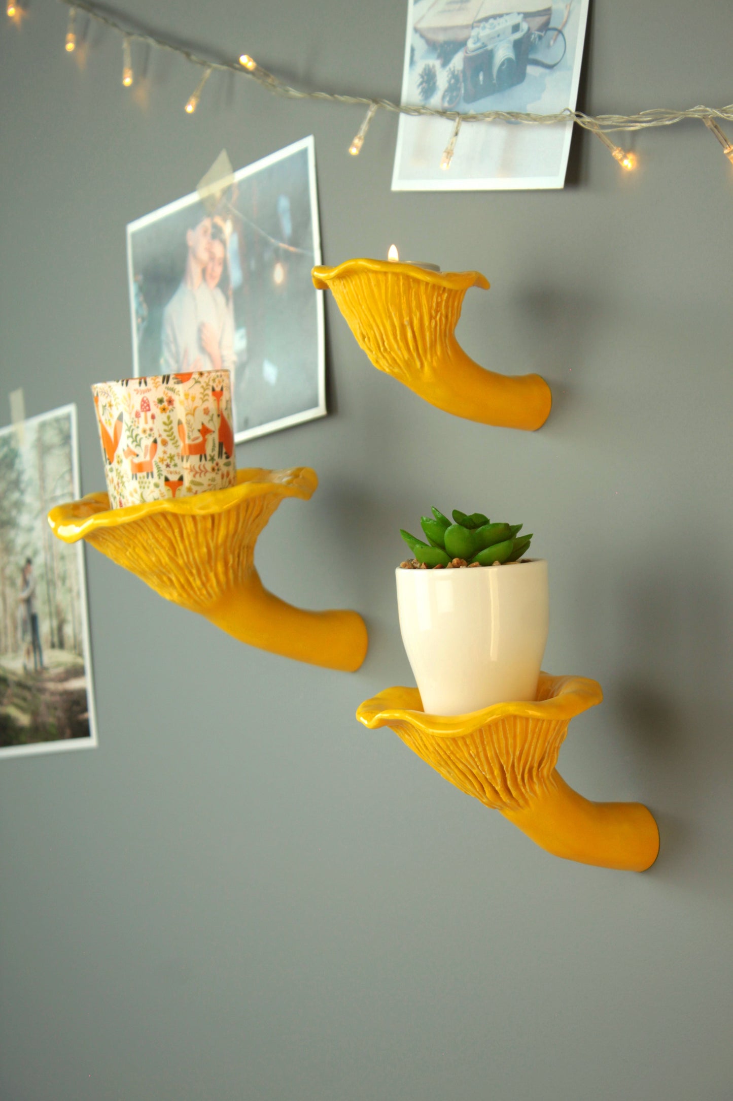 Сhanterelle mushroom shelf