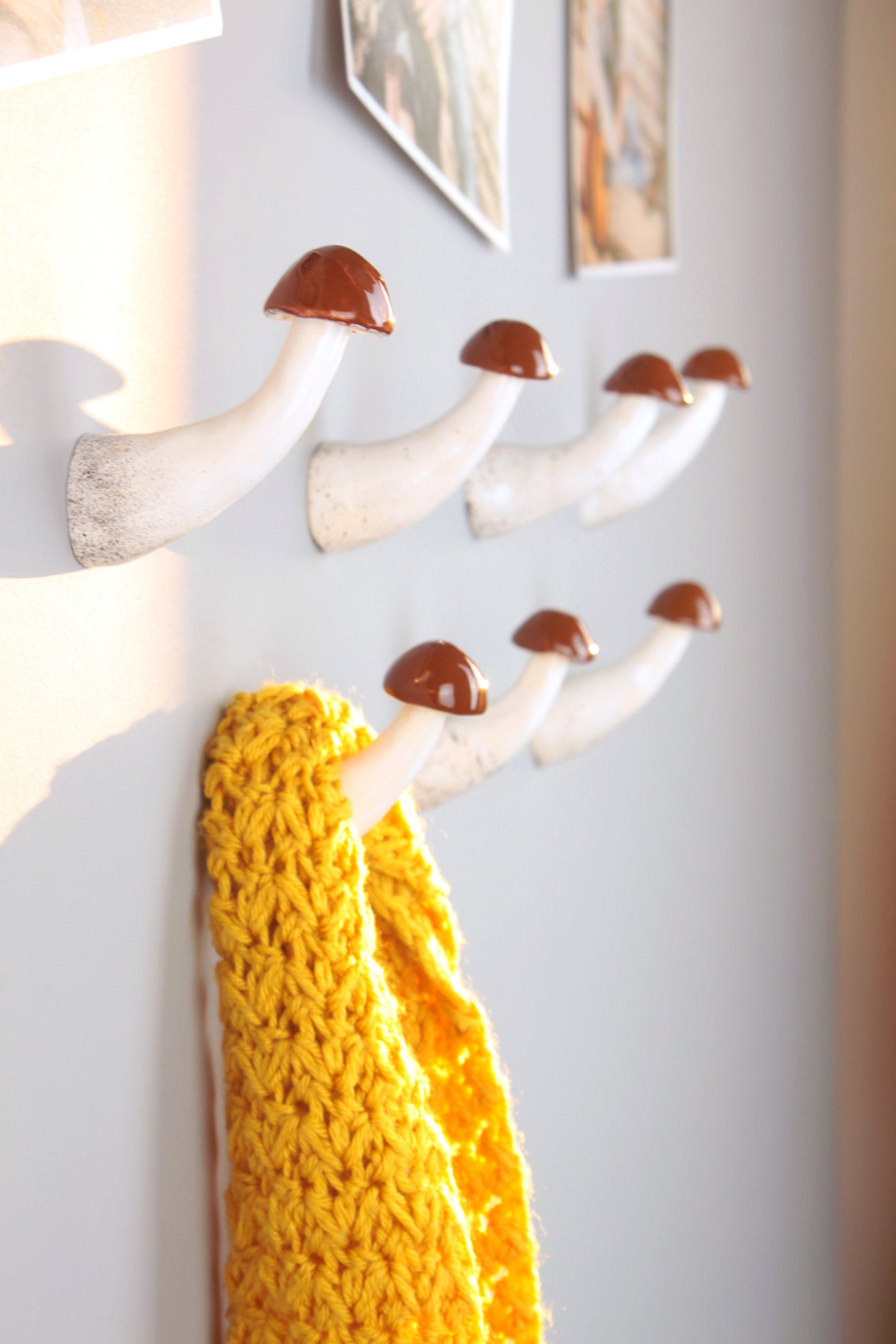 Boletus mushroom wall hook