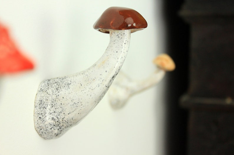 Set of 3 mushroom wall hooks