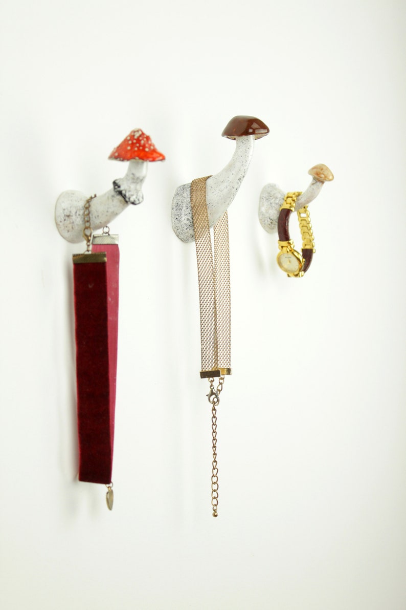 Set of 3 mushroom wall hooks