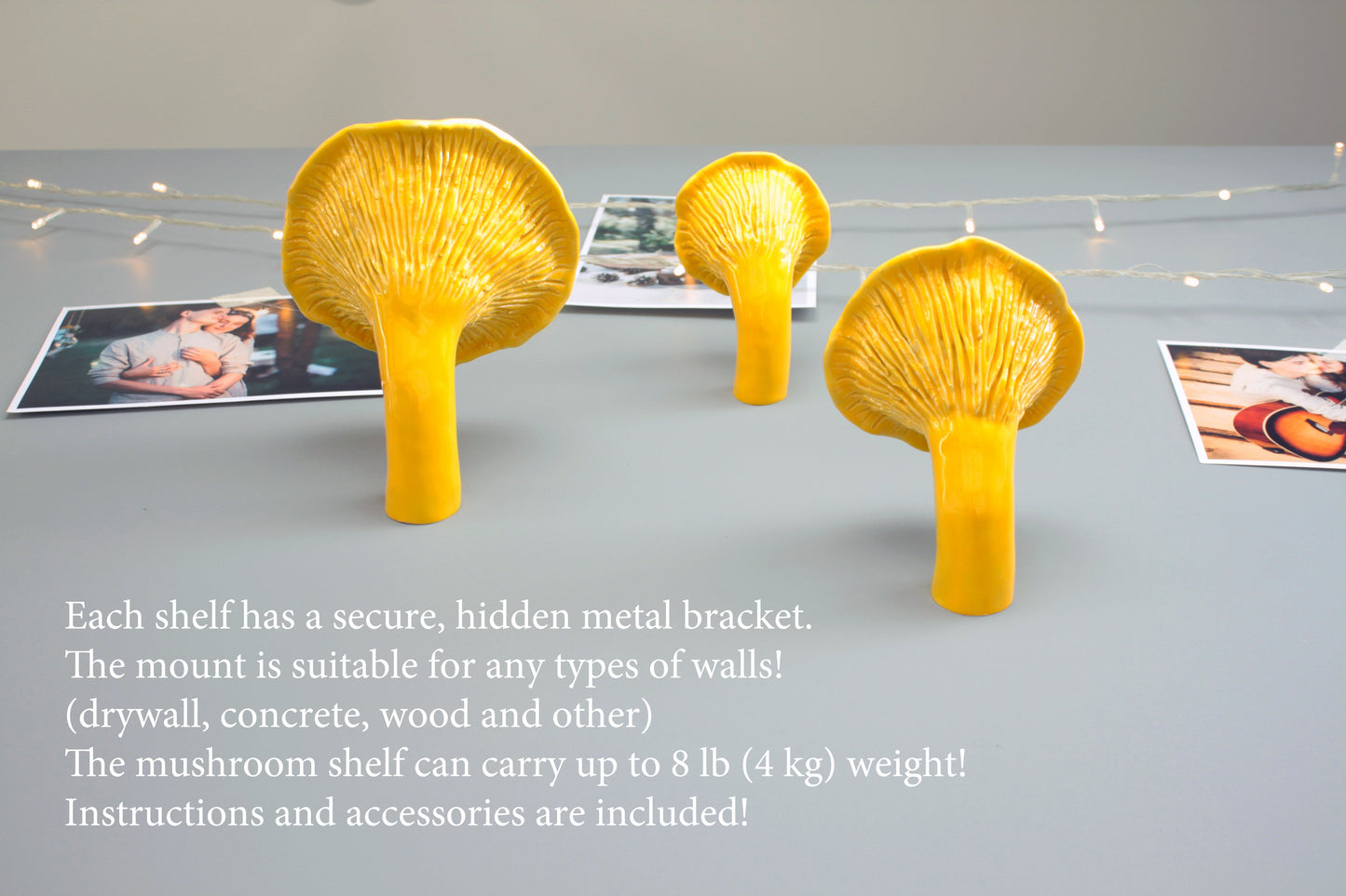 Сhanterelle mushroom shelf