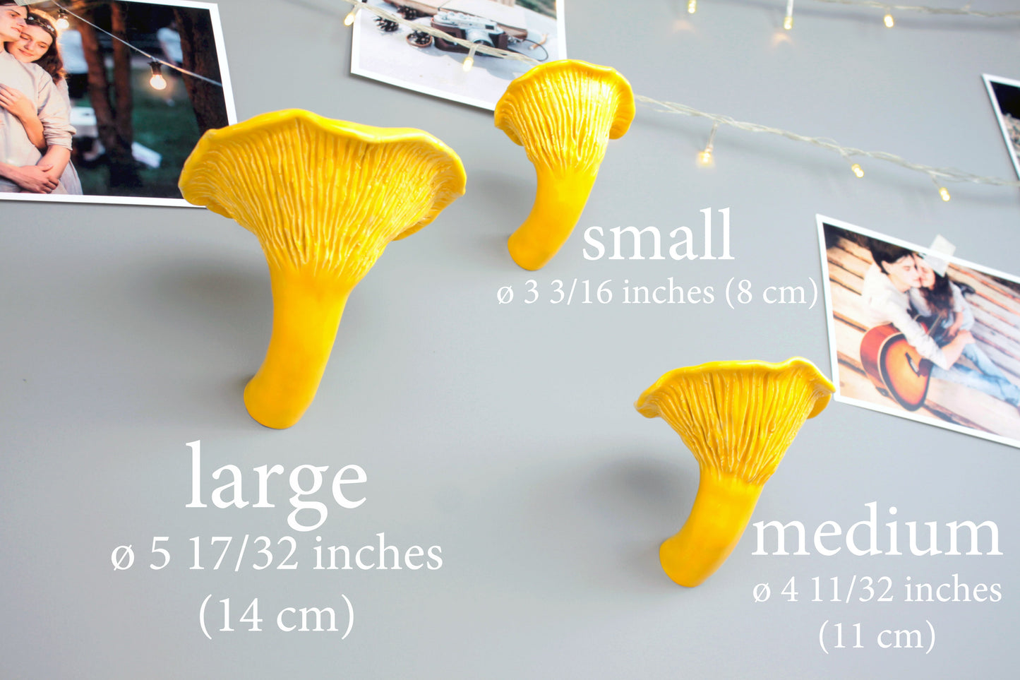 Сhanterelle mushroom shelf