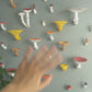 Сhanterelle mushroom shelf