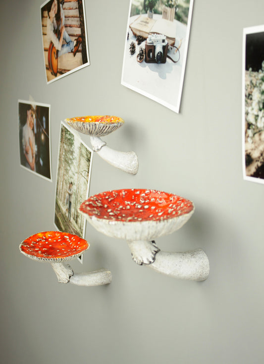 Amanita mushroom wall shelf