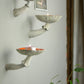 Amanita mushroom wall shelf