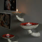Amanita mushroom wall shelf