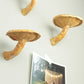 Mushroom hanging shelf