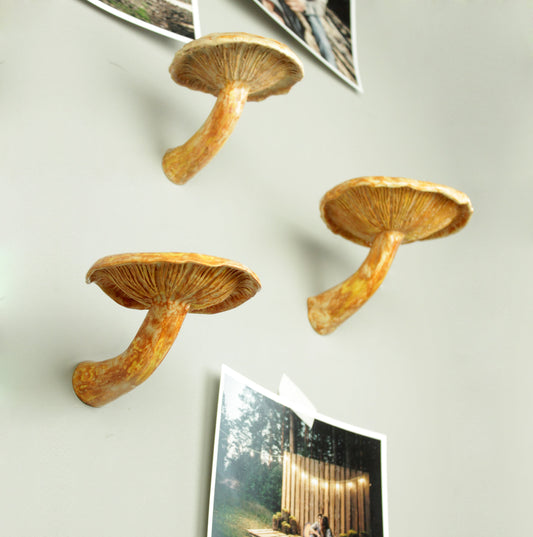 Mushroom hanging shelf