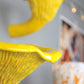 Сhanterelle mushroom shelf