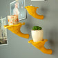 Сhanterelle mushroom shelf