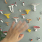 Mushroom hanging shelf