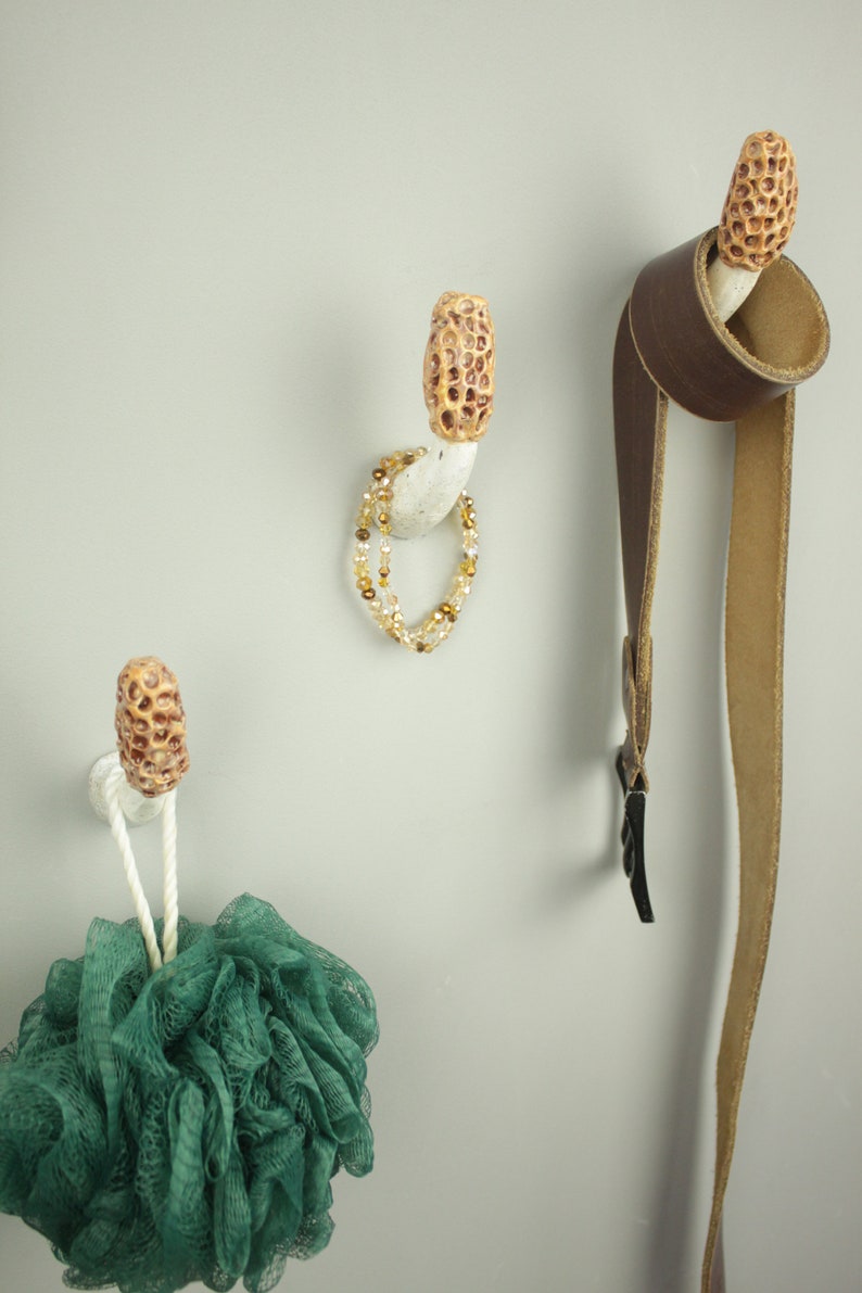 Morel mushroom wall hook