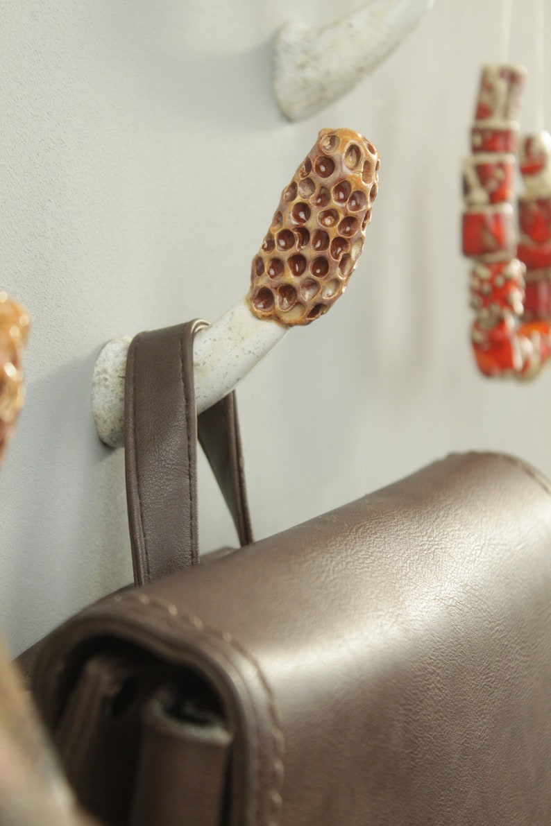 Morel mushroom wall hook