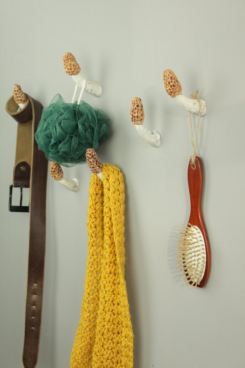 Morel mushroom wall hook