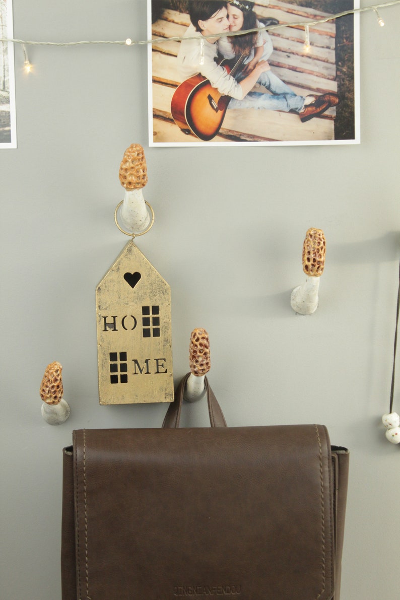 Morel mushroom wall hook