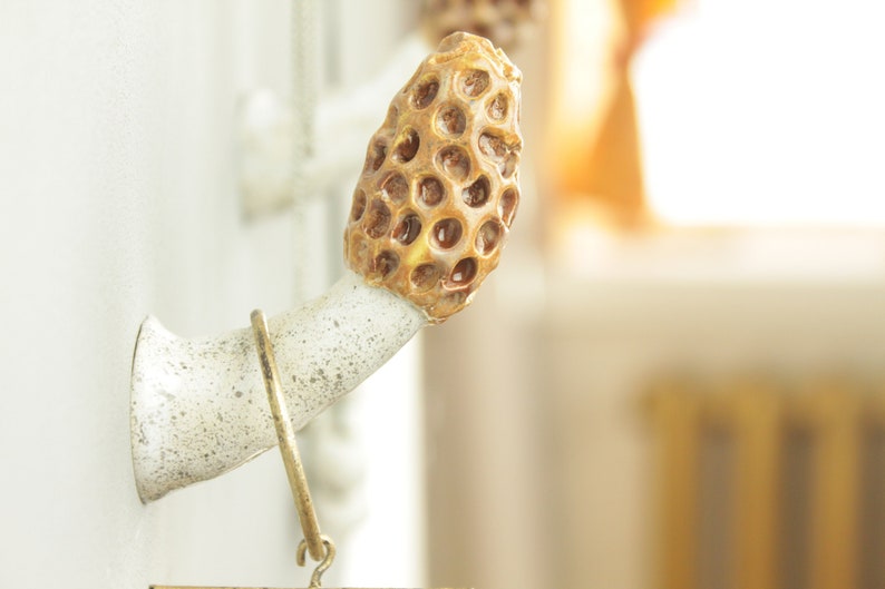 Morel mushroom wall hook