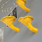Сhanterelle mushroom shelf
